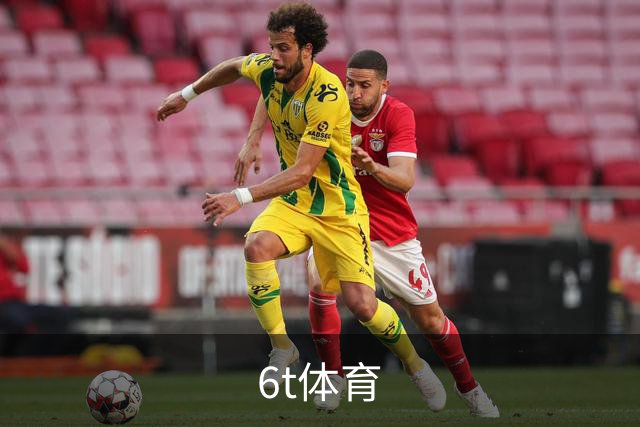 关于6t体育